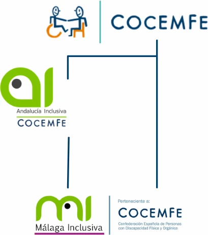 Estructura organizativa de Málaga Inclusiva dentro de Andalucía Inclusiva y COCEMFE